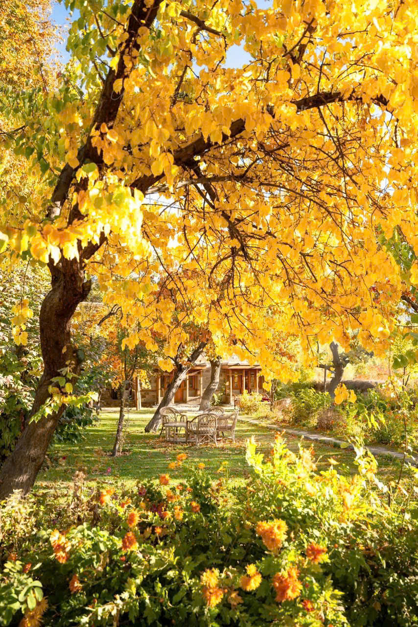 TOUR KHÁM PHÁ MONO PAKISTAN BẢN MỚI NHẤT 2026 (9 NGÀY 8 ĐÊM) TỪ HÀ NỘI TP HỒ CHÍ MINH NƠI THUNG LŨNG HUNZA BÌNH YÊN MÀ RỰC RỠ SẮC MÀU 